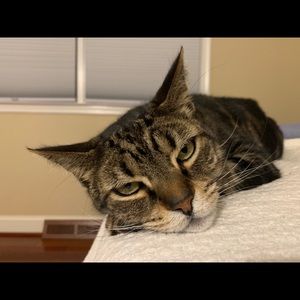 Meet your Posher, Victoria